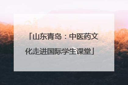 山东青岛：中医药文化走进国际学生课堂