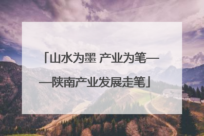 山水为墨 产业为笔——陕南产业发展走笔