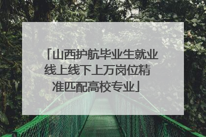 山西护航毕业生就业 线上线下上万岗位精准匹配高校专业