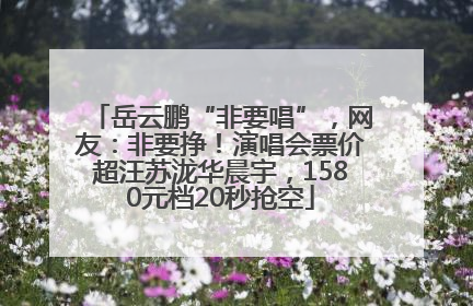 岳云鹏“非要唱”，网友：非要挣！演唱会票价超汪苏泷华晨宇，1580元档20秒抢空