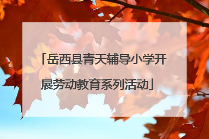 岳西县青天辅导小学开展劳动教育系列活动