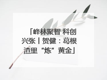 峰林聚智 科创兴张丨贺健：葛根渣里“炼”黄金