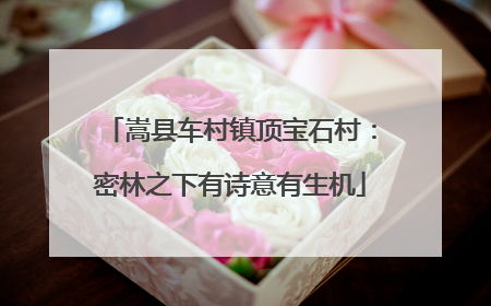 嵩县车村镇顶宝石村：密林之下有诗意有生机