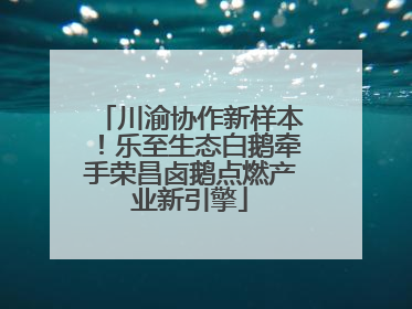 川渝协作新样本！乐至生态白鹅牵手荣昌卤鹅点燃产业新引擎