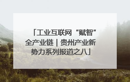 工业互联网“赋智”全产业链｜贵州产业新势力系列报道之八