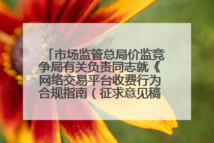 市场监管总局价监竞争局有关负责同志就《网络交易平台收费行为合规指南（征求意见稿）》答记者问