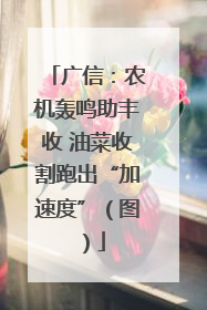 广信：农机轰鸣助丰收 油菜收割跑出“加速度”（图）