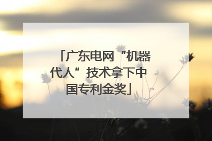 广东电网“机器代人”技术拿下中国专利金奖