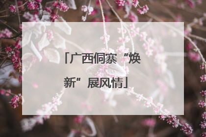 广西侗寨“焕新”展风情