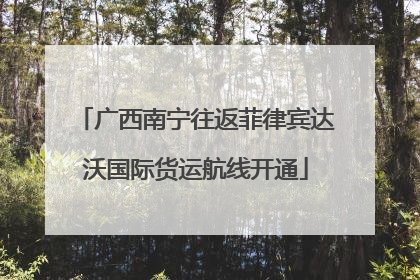 广西南宁往返菲律宾达沃国际货运航线开通