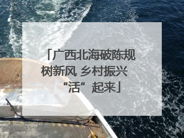 广西北海破陈规树新风 乡村振兴“活”起来