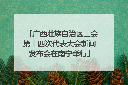广西壮族自治区工会第十四次代表大会新闻发布会在南宁举行