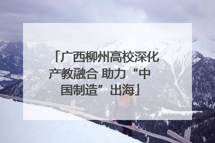 广西柳州高校深化产教融合 助力“中国制造”出海