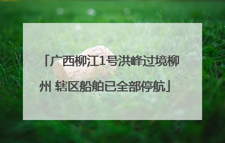 广西柳江1号洪峰过境柳州 辖区船舶已全部停航