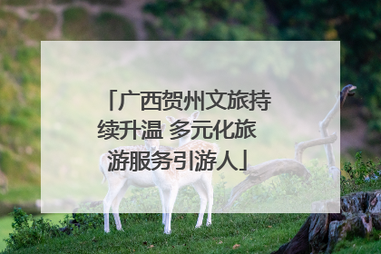广西贺州文旅持续升温 多元化旅游服务引游人