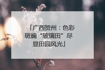 广西贺州：色彩斑斓“玻璃田”尽显田园风光