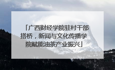 广西财经学院驻村干部搭桥，新闻与文化传播学院赋能油茶产业振兴