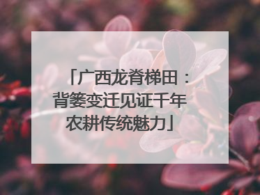 广西龙脊梯田：背篓变迁见证千年农耕传统魅力