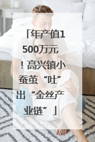 年产值1500万元！高兴镇小蚕茧“吐”出“金丝产业链”