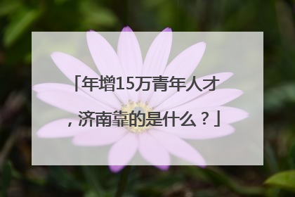 年增15万青年人才，济南靠的是什么？