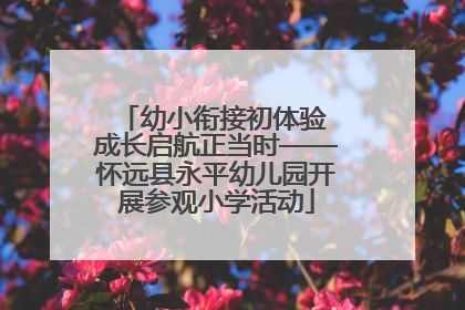 幼小衔接初体验 成长启航正当时——怀远县永平幼儿园开展参观小学活动