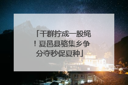 干群拧成一股绳！夏邑县骆集乡争分夺秒促夏种