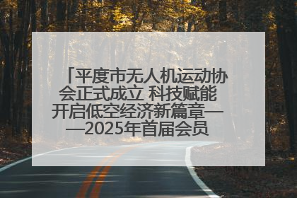 平度市无人机运动协会正式成立 科技赋能开启低空经济新篇章——2025年首届会员大会暨无人机应用发展论坛成功举办