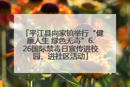 平江县向家镇举行“健康人生 绿色无毒”6.26国际禁毒日宣传进校园、进社区活动