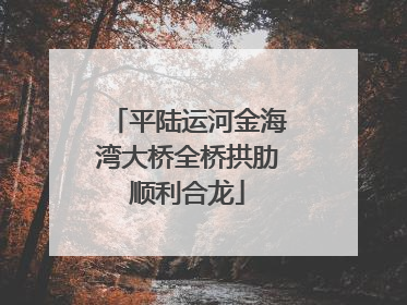 平陆运河金海湾大桥全桥拱肋顺利合龙
