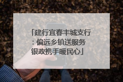 建行宜春丰城支行：偏远乡镇送服务 银政携手暖民心