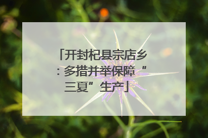 开封杞县宗店乡：多措并举保障“三夏”生产