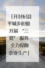开封杞县平城乡积极开展 “三夏” 服务 全力保障农业生产