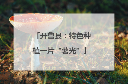 开鲁县：特色种植一片“薯光”