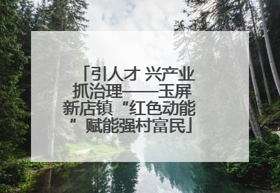 引人才 兴产业 抓治理——玉屏新店镇“红色动能”赋能强村富民