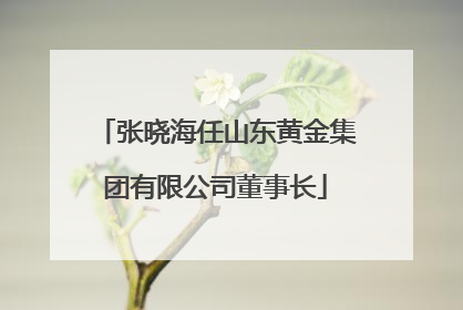 张晓海任山东黄金集团有限公司董事长