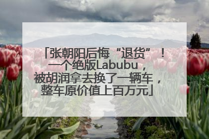 张朝阳后悔“退货”！一个绝版Labubu，被胡润拿去换了一辆车，整车原价值上百万元