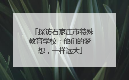 探访石家庄市特殊教育学校：他们的梦想，一样远大