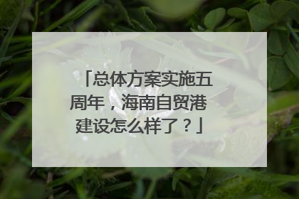 总体方案实施五周年，海南自贸港建设怎么样了？