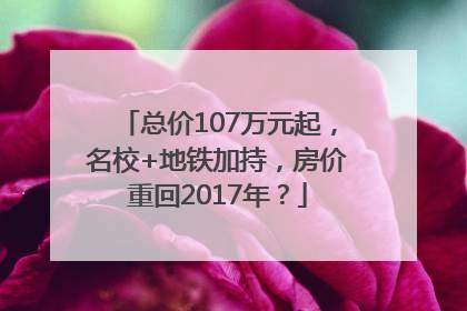 总价107万元起，名校+地铁加持，房价重回2017年？