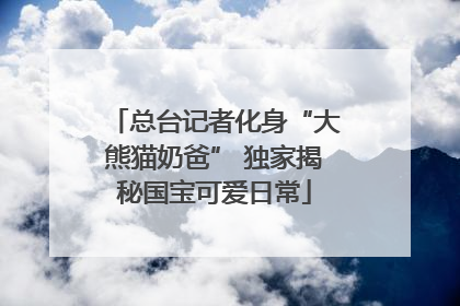 总台记者化身“大熊猫奶爸” 独家揭秘国宝可爱日常