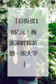 总投资10亿元！梅溪湖畔将新增一所大学