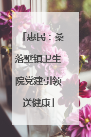 惠民：桑落墅镇卫生院党建引领送健康