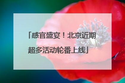 感官盛宴！北京近期超多活动轮番上线