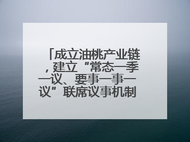 成立油桃产业链，建立“常态一季一议、要事一事一议”联席议事机制，山东省日照市莒县果庄镇——13个党小组“全周期”育果
