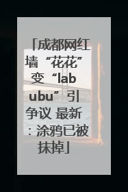 成都网红墙“花花”变“labubu”引争议 最新：涂鸦已被抹掉