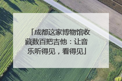 成都这家博物馆收藏数百把吉他：让音乐听得见，看得见