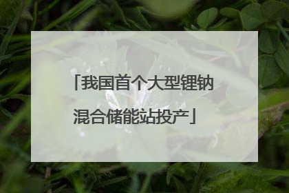 我国首个大型锂钠混合储能站投产