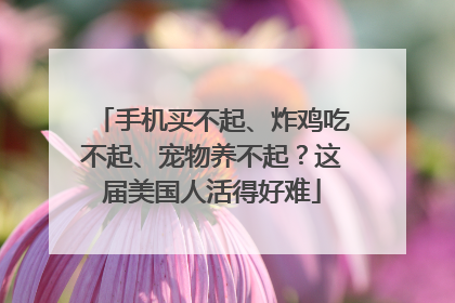 手机买不起、炸鸡吃不起、宠物养不起？这届美国人活得好难