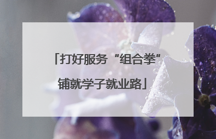 打好服务“组合拳” 铺就学子就业路