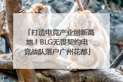 打造电竞产业创新高地！BLG无畏契约电竞战队落户广州花都
